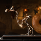 A near-complete skeleton of a dodo bird sold for $430,000 at auction. (Image: Getty)